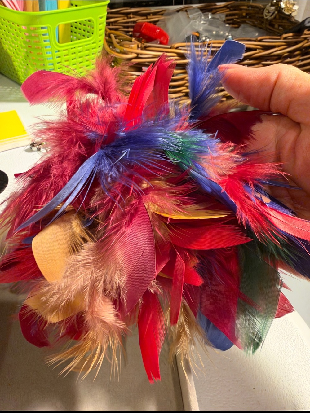 Multicolor Feather Brooch/Corsage NWOT P05